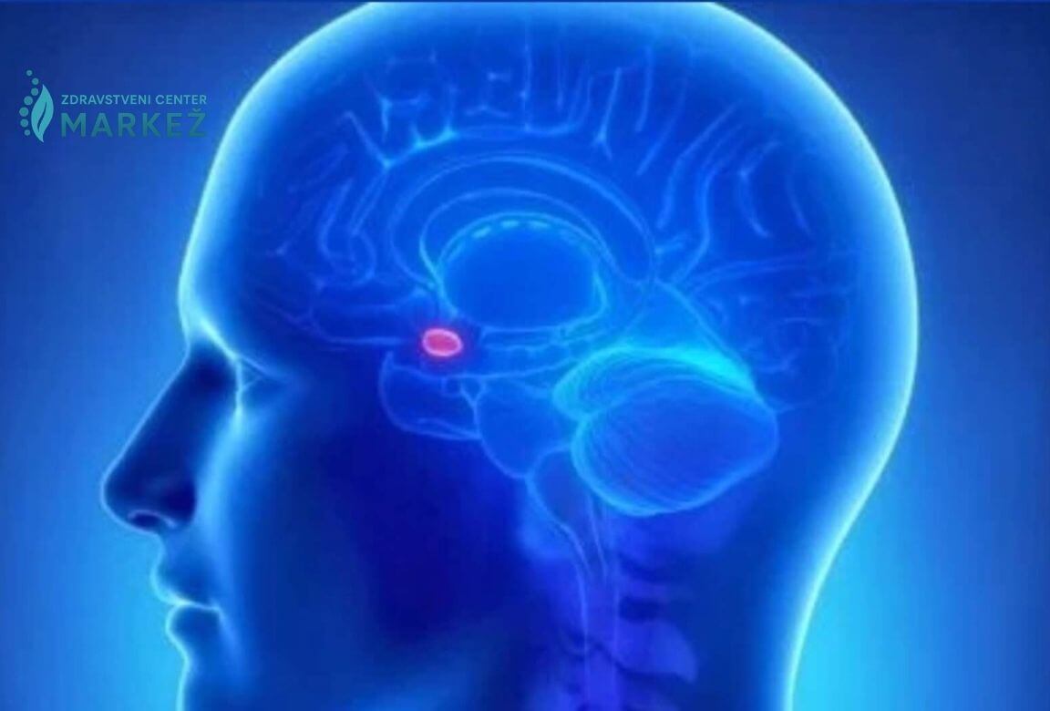 ER in EMDR tehnika “Aktivacija pinealne žleze” ER in EMDR tehnika “Aktivacija pinealne žleze”